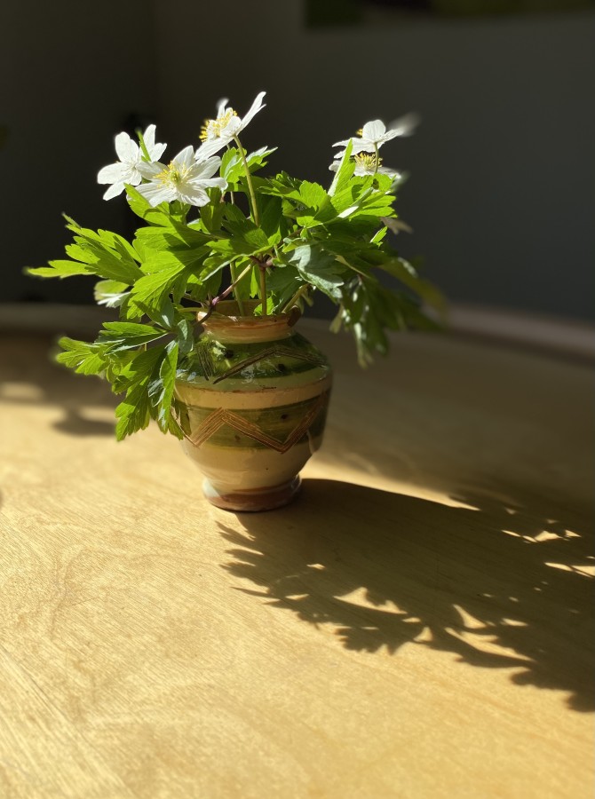 Vazelė / mini